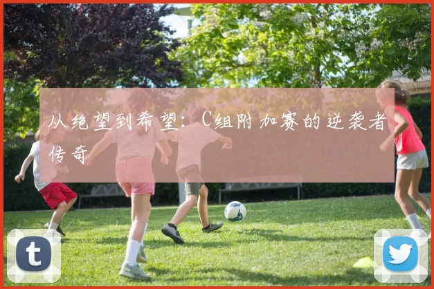 从绝望到希望：C组附加赛的逆袭者传奇