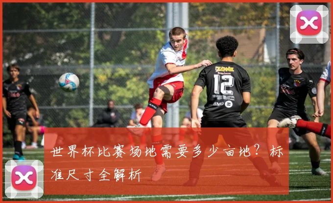 世界杯比赛场地需要多少亩地？标准尺寸全解析