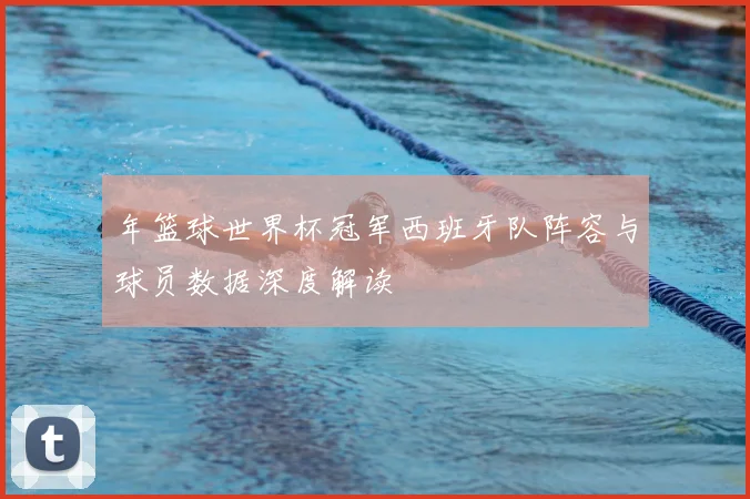 年篮球世界杯冠军西班牙队阵容与球员数据深度解读