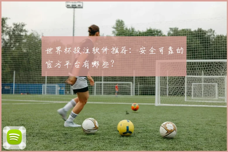 世界杯投注软件推荐：安全可靠的官方平台有哪些？