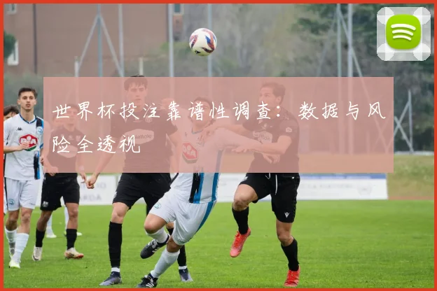 世界杯投注靠谱性调查：数据与风险全透视