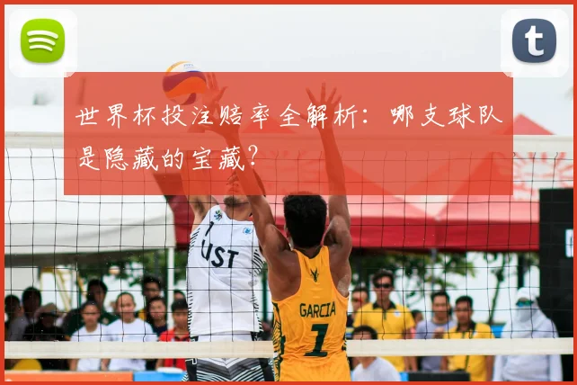 世界杯投注赔率全解析：哪支球队是隐藏的宝藏？